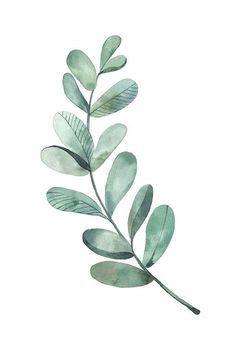 a watercolor painting of green leaves on a white background