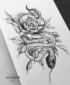 a drawing of a rose with a snake wrapped around it