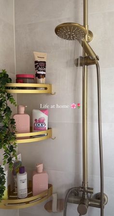 a shower head and shelves in a bathroom