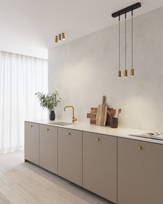 a kitchen with white walls and wooden flooring next to a plant on the counter