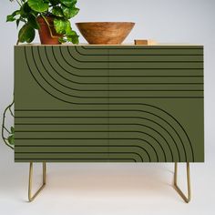 a green cabinet sitting next to a potted plant on top of a wooden table