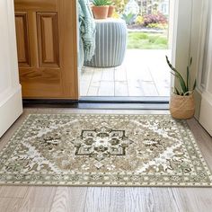 a door way with a rug and potted plant