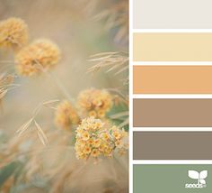 the color scheme is neutral and has yellow flowers in it, with brown tones on each side