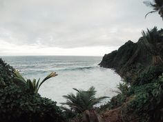 an ocean view from the top of a hill with palm trees and water in the background