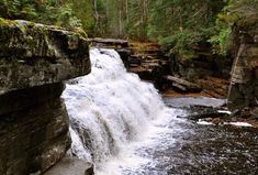 a small waterfall in the middle of a forest