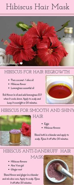 Hibiscus for hair - Regrowth, strong and shiny hair. Hibiscus is a beautiful flower which is very effective for treating hair problems. Hibiscus Hair Mask, Hibiscus For Hair, Overnight Hair Growth, Hair Mask For Dandruff, Hibiscus Hair, Hair Mask For Growth, Hair Dandruff, A Beautiful Flower, Diy Hair Care