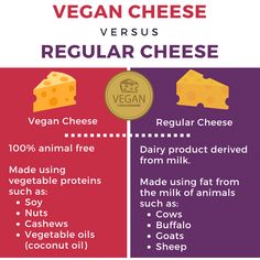 the differences between vegan cheese and regular cheese are shown in this graphic diagram, which shows