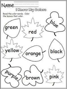 an image of color words worksheet