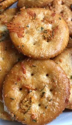 some fried food on a white plate with parmesan and seasoning sprinkles