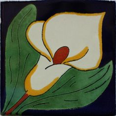 a white and yellow flower with green leaves on a black background is featured in this image