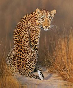 a painting of a leopard sitting on the ground next to some tall grass and dry grass