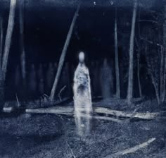 a blurry image of a person standing in the woods