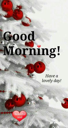 a white christmas tree with red ornaments and the words good morning have a lovely day