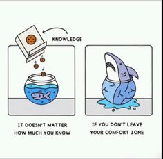 two pictures with different things in them and one has an image of a shark that is eating