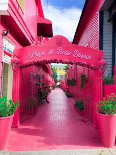 the entrance to an apartment building with pink painted walls and flowers in large planters