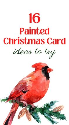 a red bird sitting on top of a pine branch with the words painted christmas card ideas to try