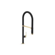 a black and gold sink faucet on a white background with the handles extended