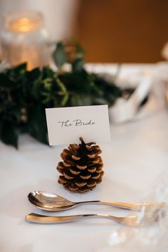 a place setting with silverware and a pine cone on the table for guests to eat