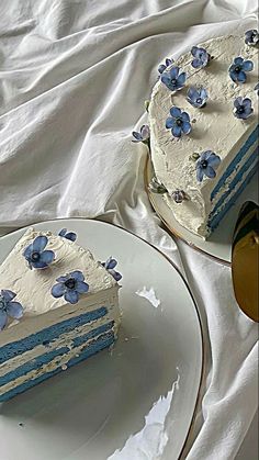 two slices of cake on plates with blue flowers