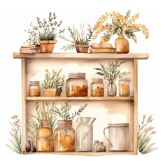 a watercolor painting of jars and flowers on a shelf with other items in them