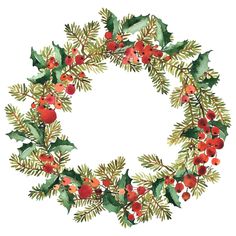 a christmas wreath with holly leaves and red berries on white background royalty - art illustration