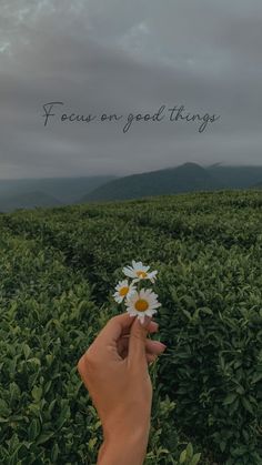 someone holding a flower in their hand with the words focus on good things above them