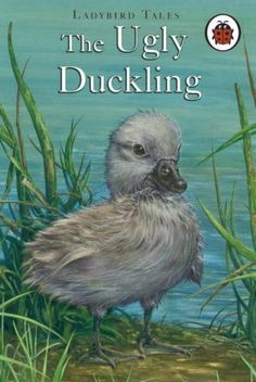 the ugly duckling ladybird tales