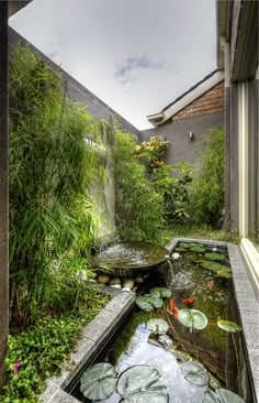 an outdoor pond with water lilies and plants