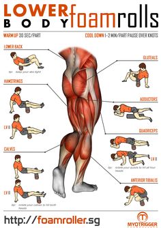 an image of the lower body workout