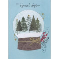 a snow globe with trees on it and a ribbon tied around the edge that says for a special nephos