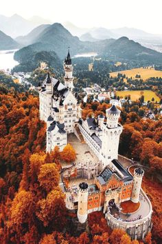 an aerial view of a castle surrounded by trees