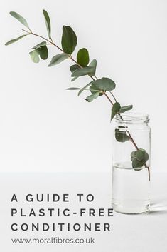 a plant in a glass jar with water and text overlay reading a guide to plastic - free conditioner