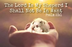 a hand holding a small lamb with the words, the lord is my shepherd i shall not be in want