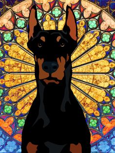 a black and brown dog sitting in front of a stained glass window with an intricate design