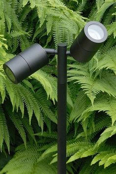 two lights are on the side of a pole in front of green plants and ferns