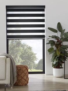 a living room with black and white striped blinds in the window, potted plant next to it