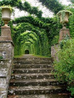 an old set of steps leading into a tunnel