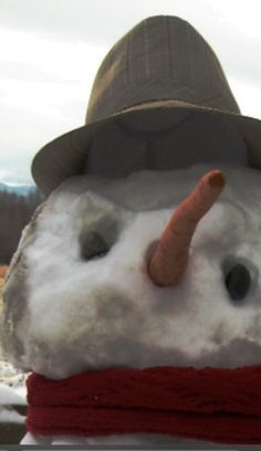 a snowman wearing a hat and scarf with his nose sticking out from the top