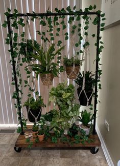 several potted plants are arranged on a shelf in front of a wall hanging planter