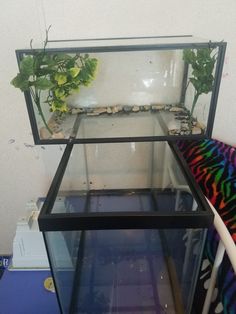 a fish tank filled with plants and rocks on top of a blue table next to a white wall