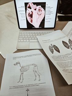 a laptop computer sitting on top of a desk next to an open book and paper