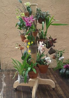 a wooden table topped with lots of potted plants