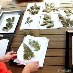 a woman is working on some art work with leaves and plants in the frame behind her