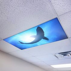 an office ceiling with a shark on it