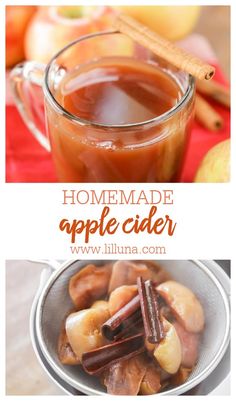 homemade apple cider recipe with cinnamon and apples in the background