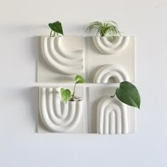 three white wall sculptures with plants in them