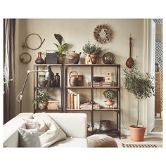 a living room filled with lots of furniture and plants on top of bookshelves