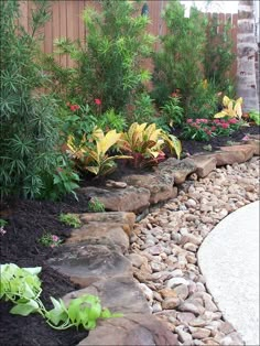 an image of a garden with rocks and plants in the background, on instagram