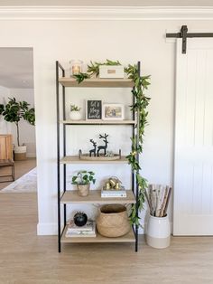 a shelf with plants and books on it in a living room next to a door