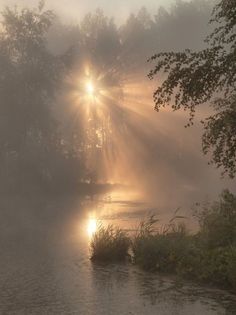 the sun is shining through the foggy sky over a body of water with trees in the background